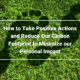 How to Take Positive Actions and Reduce Our Carbon Footprint to Minimize our Personal Impact