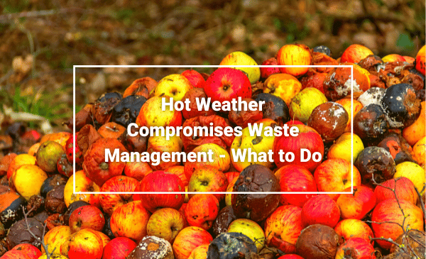 Hot Weather Compromises Waste Removal and Management What to Do