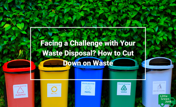 Waste Disposal Cut Down on Waste Little Green Junk