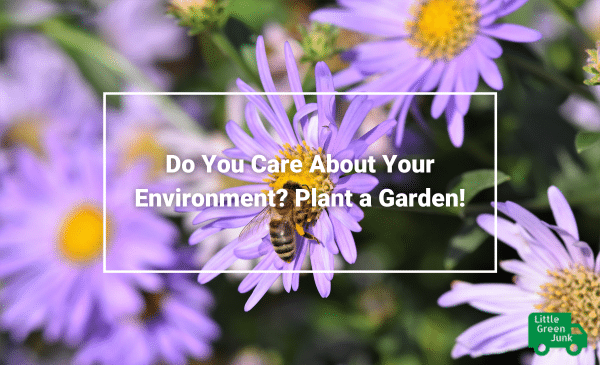 Environment Plant a Garden Junk_Waste Removal