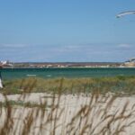 Green Living for Beginners: Small UK Steps