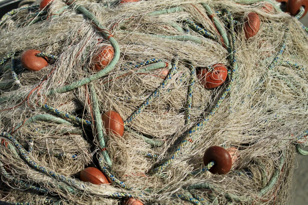 bird entangled in plastic waste