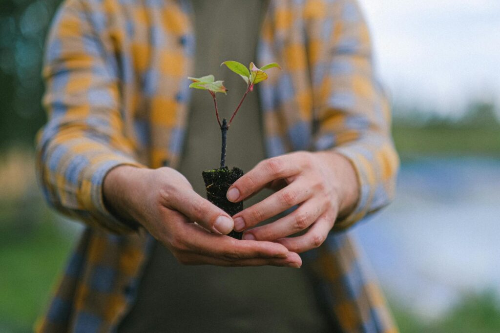 How to Evolve Ever: Strategies for Continuous Growth in 2026