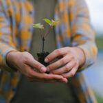 How to Evolve Ever: Strategies for Continuous Growth in 2026