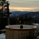 Hot Tub Removal: Cost & DIY vs. Pro Guide