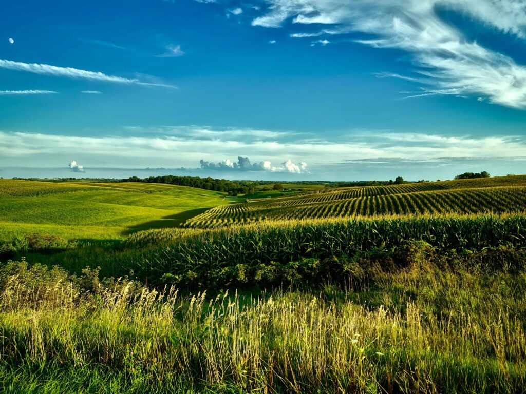 Iowa landscape with phone icon