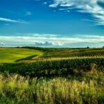 Iowa landscape with phone icon