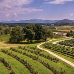 North Carolina Map: Essential Guide for Residents