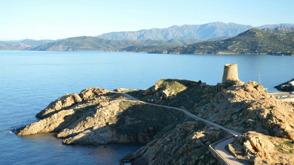 Pietra Dawn Cherniak: Recent Shifts and Expert Analysis