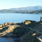 Pietra Dawn Cherniak professional