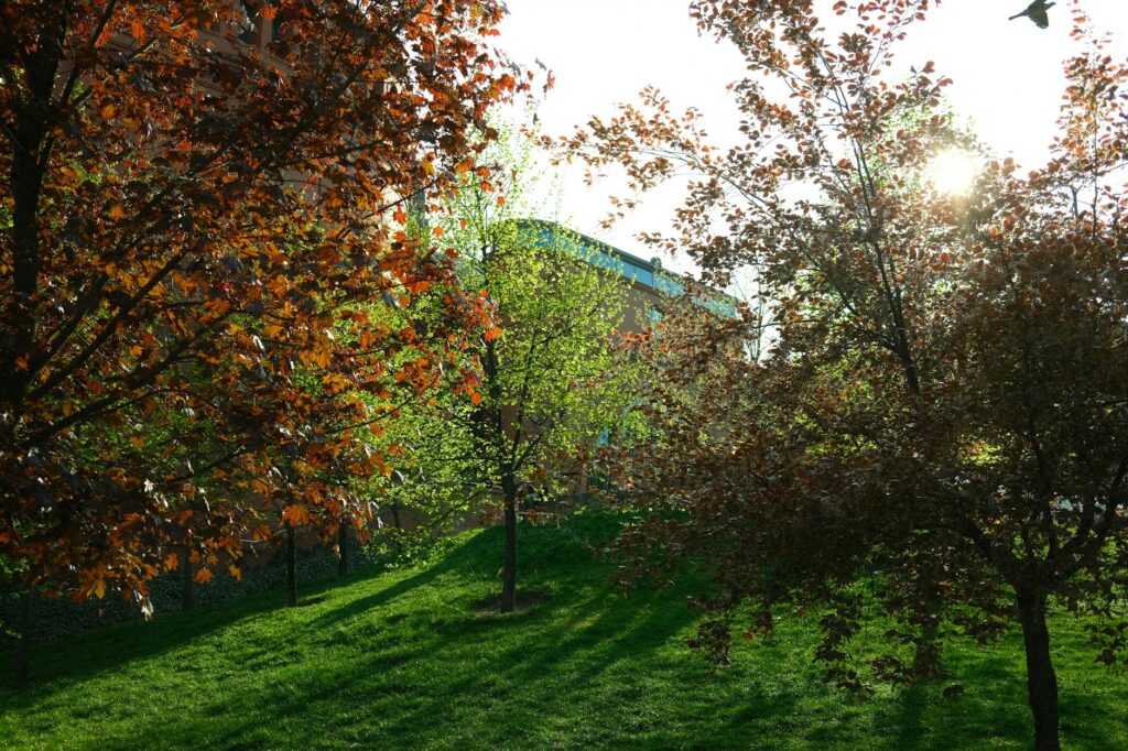 spring yard transformation