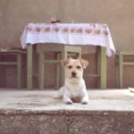 Taylor and Dakota: Deep Dive Beyond the Headlines