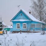 Prepare Your House Yard For Winter: Little Green Junk
