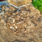 Yard Waste Management in 2026: Beyond the Bin